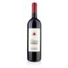 Toscana IGT Lupicaia 2015 Castello Del Terriccio
