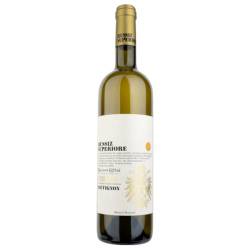 Collio DOC Sauvignon Russiz Superiore 2020 Marco Felluga