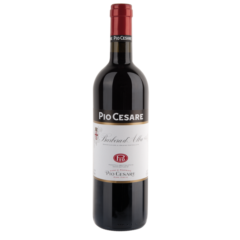 Barbera d'Alba DOC 2019 Pio Cesare