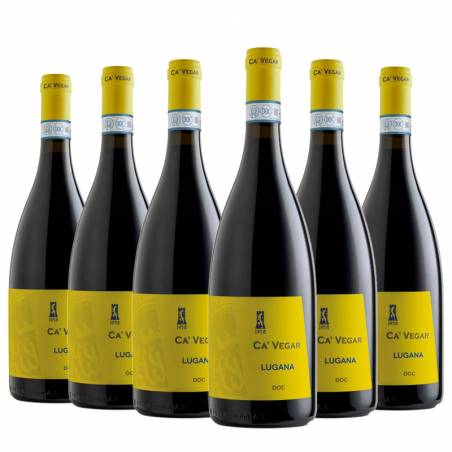 6 bottiglie di Lugana DOC Ca Vegar 2022 Castelnuovo del Garda