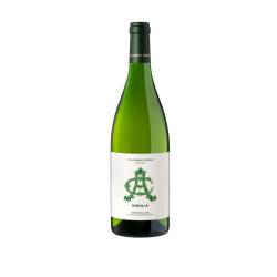Sicilia DOC Inzolia Curatolo Arini