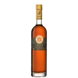 Cognac Napoleon Grande Champagne Francois Voyer astucciato
