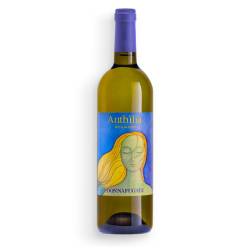 Sicilia DOC Anthilia 2024 Donnafugata