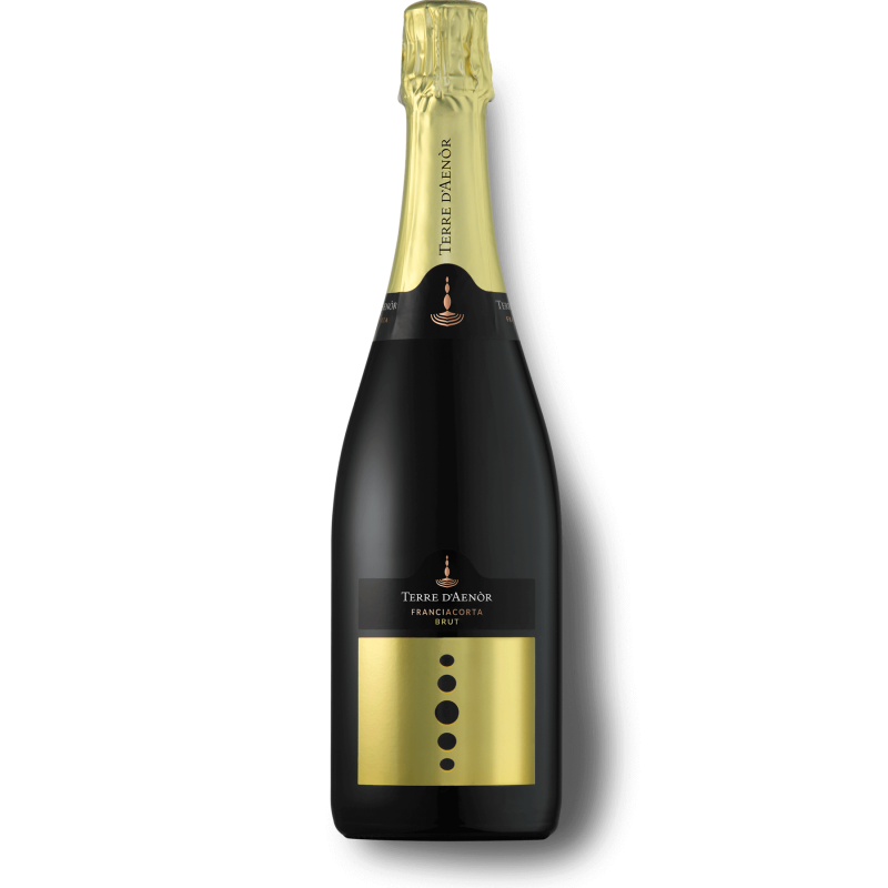 Franciacorta Brut DOCG Terre d'Aenor