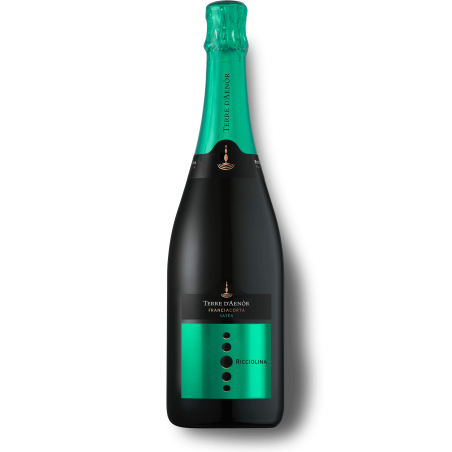 Franciacorta DOCG Saten Bio Terre d'Aenor Franciacorta DOCG Saten Bio Terre d'Aenor