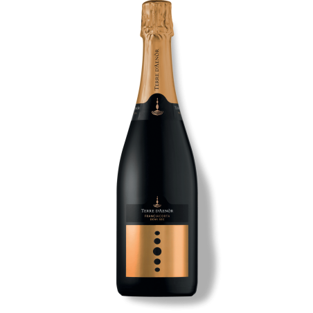 Franciacorta DOCG Demi-sec Bio Terre d'Aenor Franciacorta DOCG Demi-sec Bio Terre d'Aenor