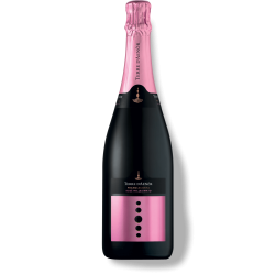 Franciacorta DOCG Rosè millesimato Bio Terre d'Aenor