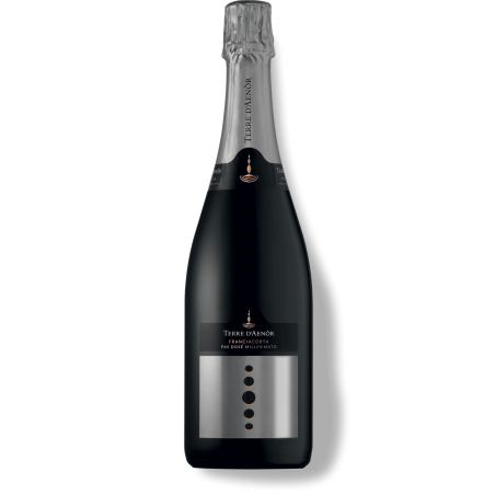 Franciacorta DOCG Pas Dosè millesimato Bio Terre d'Aenor Franciacorta DOCG Pas Dosè millesimato Bio Terre d'Aenor