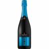 Franciacorta DOCG extra brut millesimato Bio Terre d'Aenor