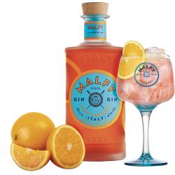 Gin Malfy Arancia Torino Distillati