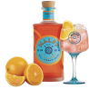 Gin Malfy Arancia Torino Distillati