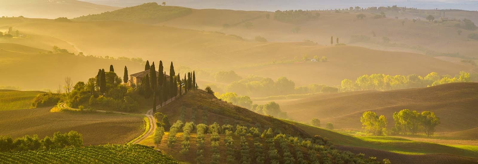 Vini della regione Toscana - enoteca online
