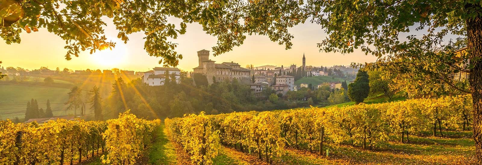 Vini della regione Emilia-Romagna - enoteca online